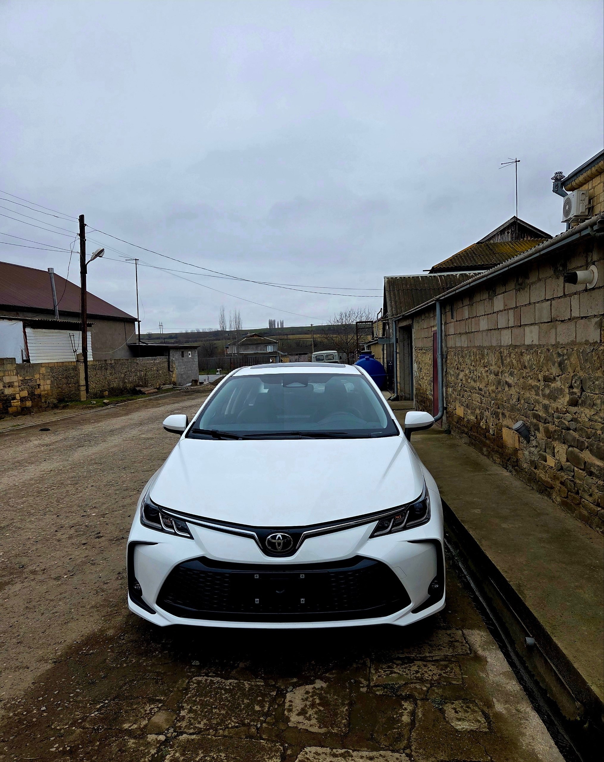 Toyota Levin